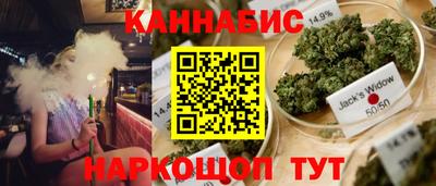 гидра Шебекино