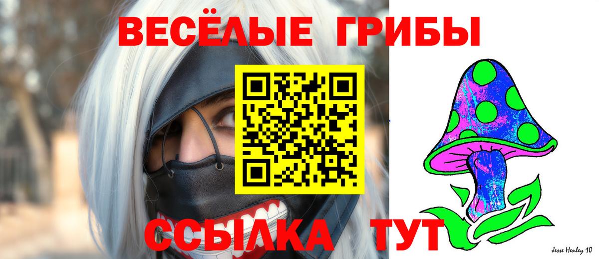 Галлюциногенные грибы Psilocybine cubensis Лосино-Петровский